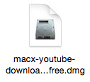 MacX YouTube Downloader̎g