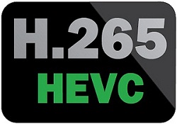 H.265/HEVC converter