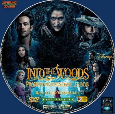 Disney Into the Woods DVD
