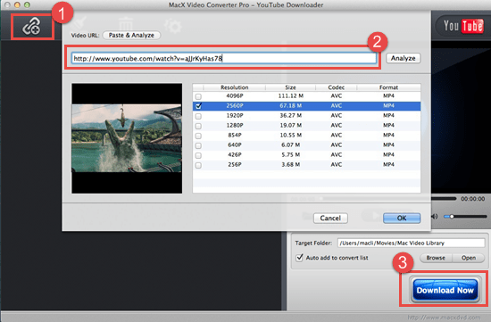 Mac video downloader app