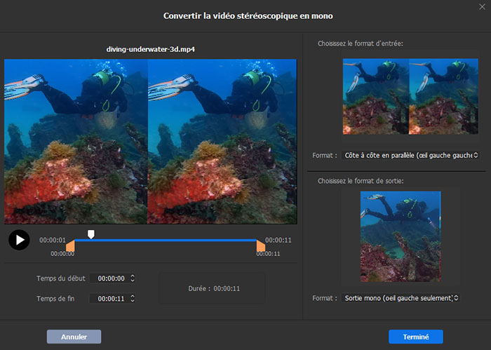 Guide Macxvideo AI