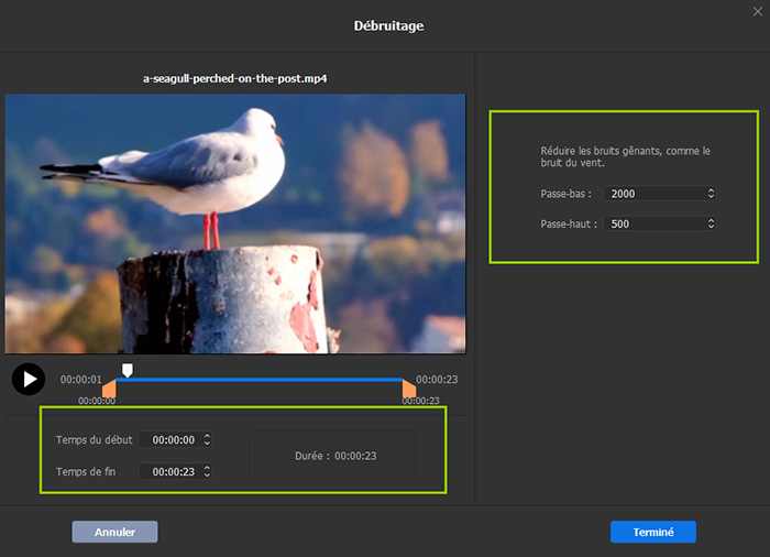 Guide Macxvideo AI