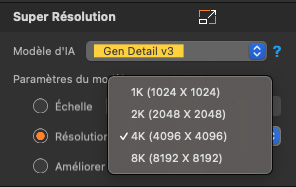 Macxvideo AI Paramètres du Modèle