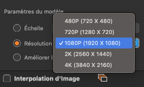 Guide Macxvideo AI Video AI L'option