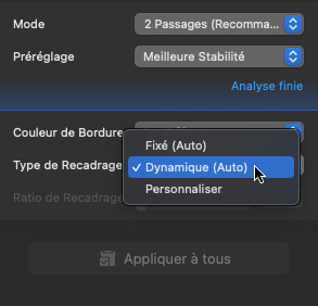 couleur de bordure de stabilisation