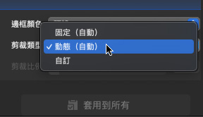 stabilize video crop