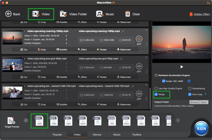 Convert Videos to Multi-track MKV
