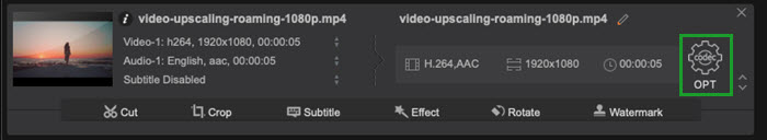 Codec Option