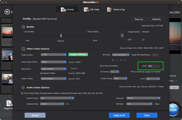 Macxvideo AI Common Settings - gop