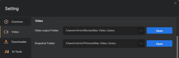 Macxvideo AI Settings