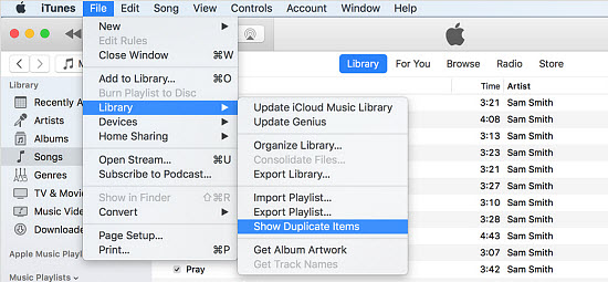 find duplicates in iTunes