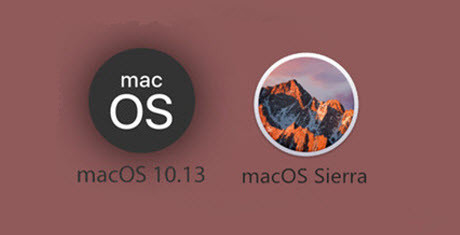 upgrade to macOS 10.13 from Sierra or not