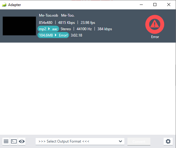 Choose MP4 output format