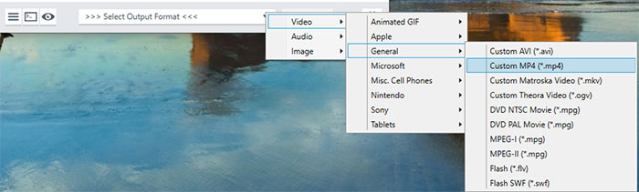 Convert VOB to more video formats
