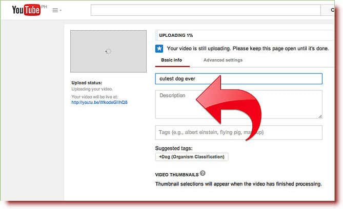 How to Upload Videos on (Settings to Maximize Views!)