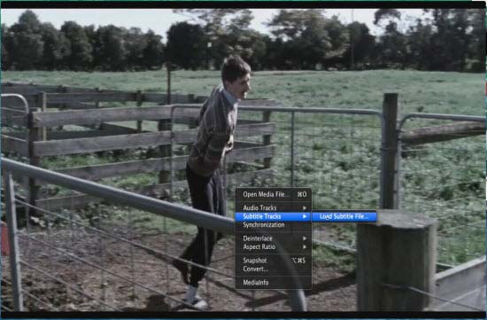 add video subtitles