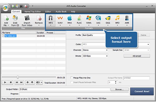 AVS video converter