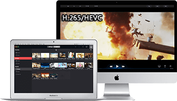 Hevc player