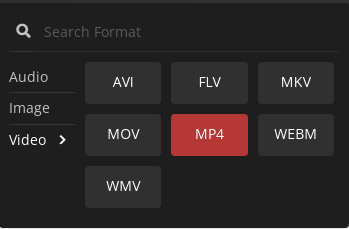 Select MP4 as output format