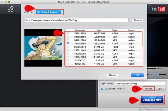 Anime Download Mp4