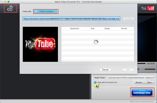 where can i watch movies free online without downloading where can i watch movies free online without downloading