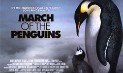 The March of The Penguins