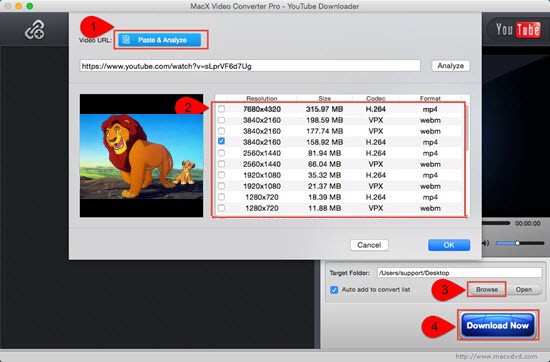 Download Kids Cartoon Movies