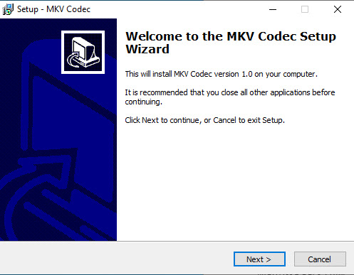 codec format mkv