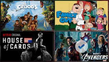 Netflix DVDs