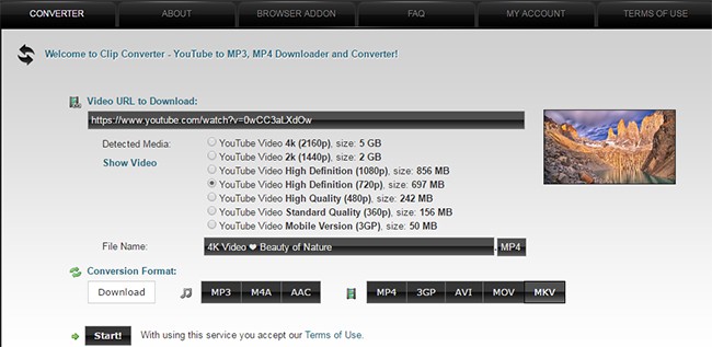 4K video downloader online