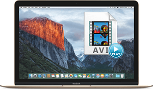 how to play avi on mac