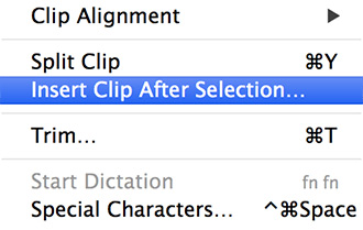 Insert video in QuickTime