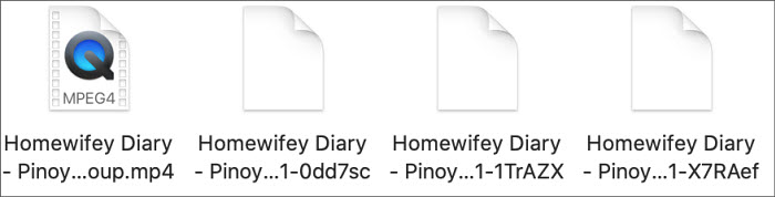 quicktime can't open imovie MP4 export
