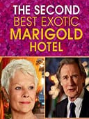 The Second Best Exotic Marigold Hotel