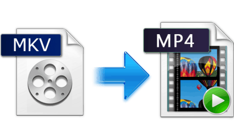 matroska video codec download