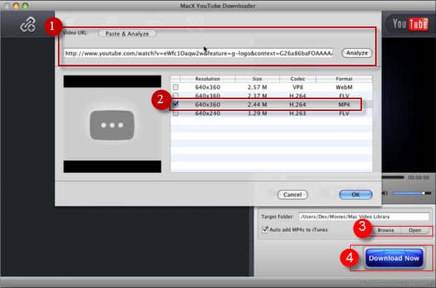 macx youtube downloader error