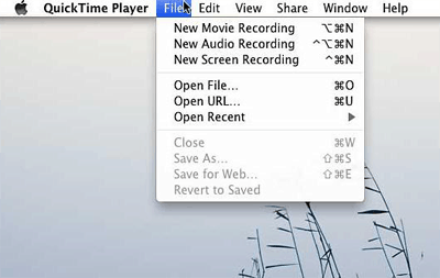 YouTube video recorder