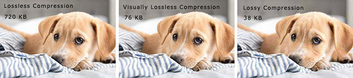 Lossy vs lossless compression