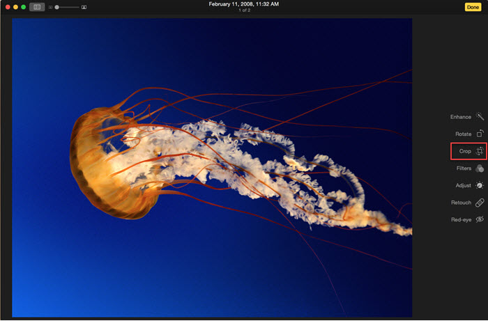 Crop Screenshot on Mac with Photos App