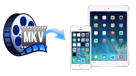 mkv codec for splayer mkv codec for splayer