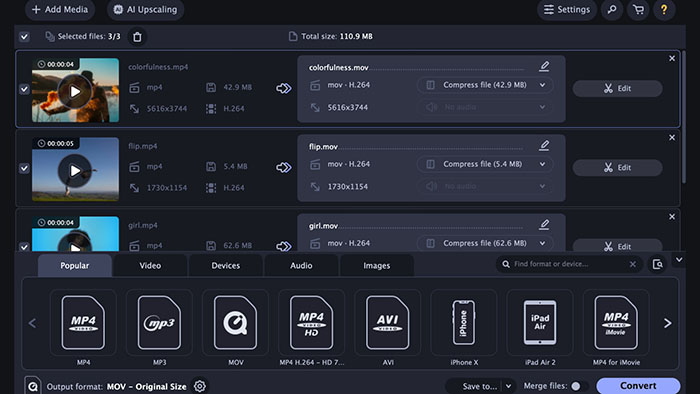 WebM to MP4 Movavi Video Converter