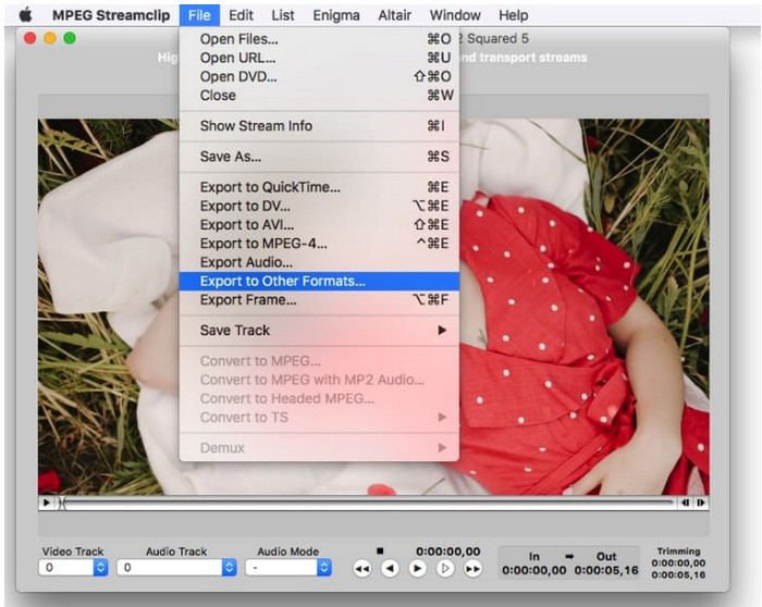 convert TS to MP4 Mac with MPEG Streamclip