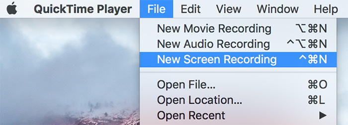 Enable record feature on QT