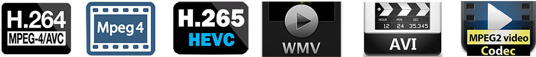top lossless video codecs