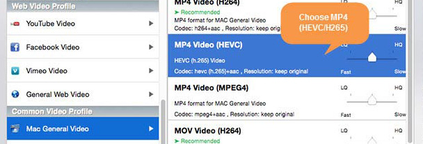 Reduce MKV file size with HEVC codec