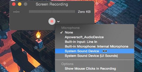 YouTube video recorder