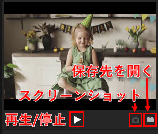 Macxvideo AIプレビューウィンドウ