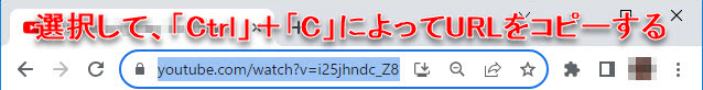 Macxvideo AI動画ダウンロードstep1