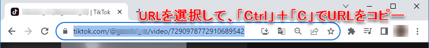 Macxvideo AIでTikTok動画ダウンロードstep1