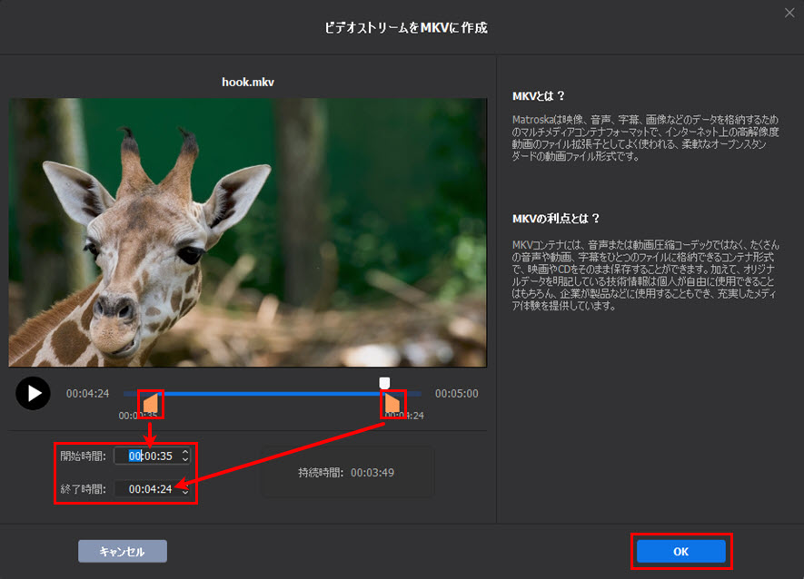 Macxvideo AIツールボックス〜マルチトラックファイルMKV作成